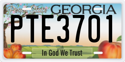 GA license plate PTE3701