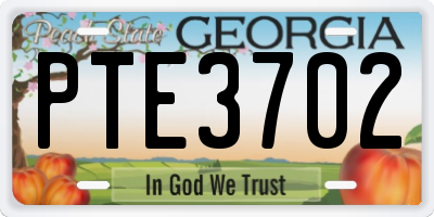 GA license plate PTE3702