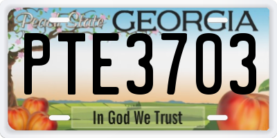 GA license plate PTE3703