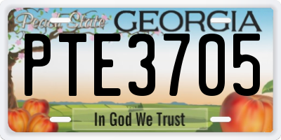 GA license plate PTE3705