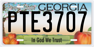 GA license plate PTE3707