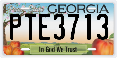 GA license plate PTE3713