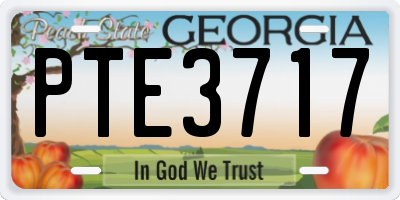 GA license plate PTE3717