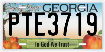 GA license plate PTE3719