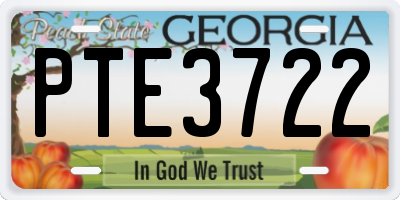 GA license plate PTE3722