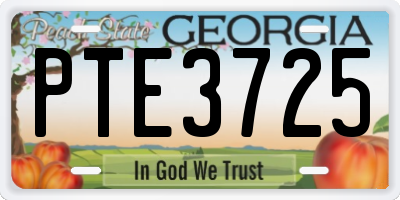 GA license plate PTE3725