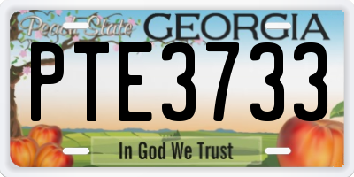 GA license plate PTE3733