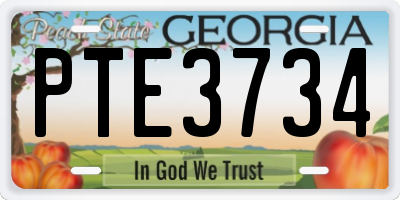 GA license plate PTE3734