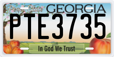 GA license plate PTE3735