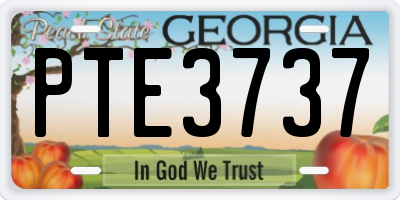 GA license plate PTE3737