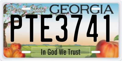 GA license plate PTE3741