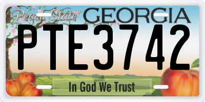 GA license plate PTE3742