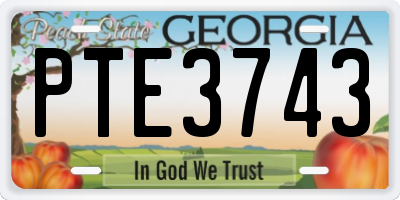 GA license plate PTE3743