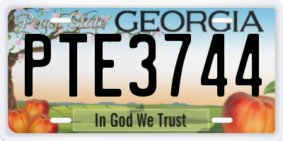 GA license plate PTE3744