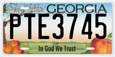 GA license plate PTE3745