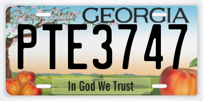 GA license plate PTE3747