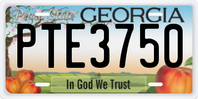 GA license plate PTE3750