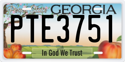 GA license plate PTE3751