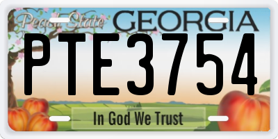 GA license plate PTE3754