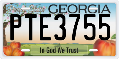 GA license plate PTE3755