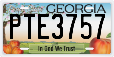 GA license plate PTE3757
