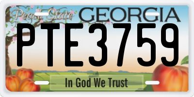 GA license plate PTE3759