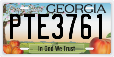 GA license plate PTE3761