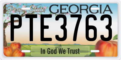 GA license plate PTE3763