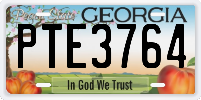 GA license plate PTE3764