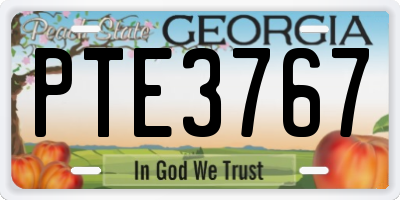 GA license plate PTE3767