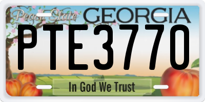 GA license plate PTE3770
