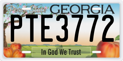 GA license plate PTE3772