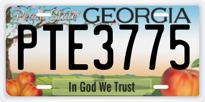 GA license plate PTE3775
