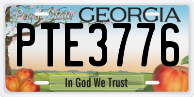 GA license plate PTE3776