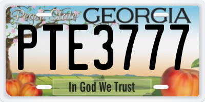 GA license plate PTE3777