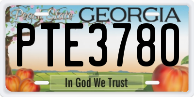 GA license plate PTE3780
