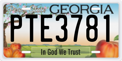 GA license plate PTE3781
