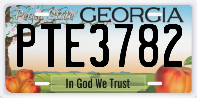 GA license plate PTE3782