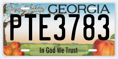 GA license plate PTE3783