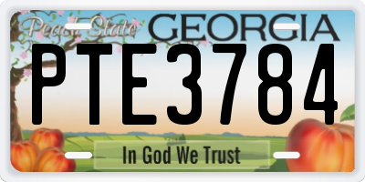 GA license plate PTE3784