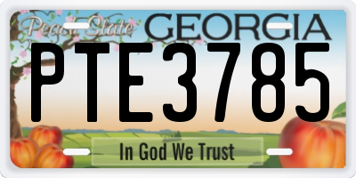 GA license plate PTE3785