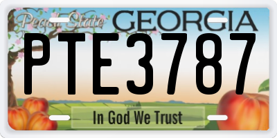 GA license plate PTE3787