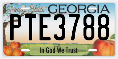 GA license plate PTE3788