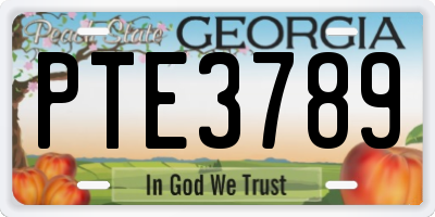 GA license plate PTE3789