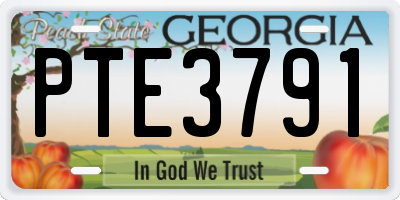 GA license plate PTE3791