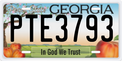 GA license plate PTE3793