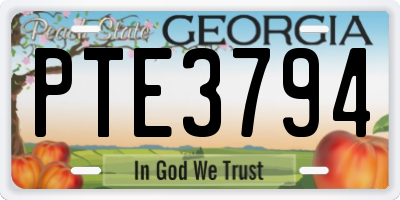 GA license plate PTE3794