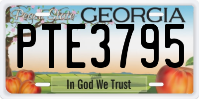 GA license plate PTE3795