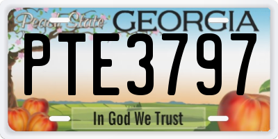 GA license plate PTE3797