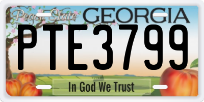 GA license plate PTE3799